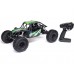 RC auto Axial Gilamon AXP8 2.2 1:8 4WD RTR - Zelená