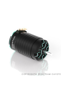 CAYOTE Racing 1/8 CREST 4268 1900KV Brushless Motor
