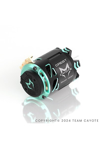 CAYOTE 1/10 Stocki Motor 13.5T