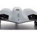 E-flite Micro B-2 Spirit Twin 30mm EDF BNF Basic