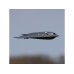 E-flite Micro B-2 Spirit Twin 30mm EDF BNF Basic
