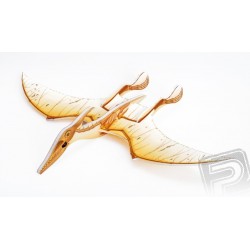 Pteranodon házedlo - barevný