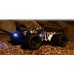 Quantum2 XT 1/10th Stadium Truck - Modrý
