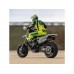 Losi Promoto-SM 1:4 RTR FXR