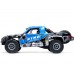 RC auto Losi Super Baja Rey 2.0 1:6 4WD RTR - King