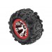 RC auto Traxxas Summit 1:16 RTR Rock'n Roll